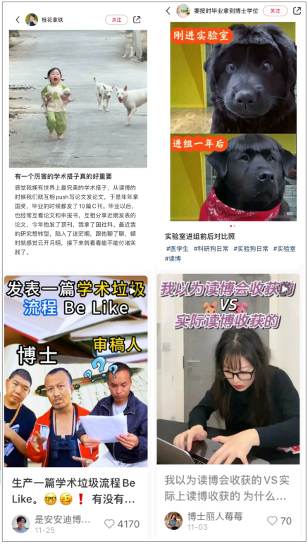 @桂花拿铁、@要按时毕业拿到博士学位、@是安安迪博士呀、@博士丽人莓莓