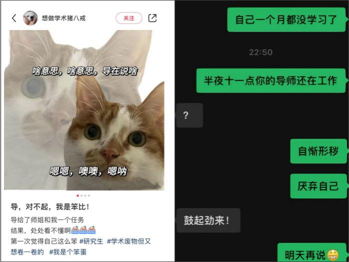 @想做学术猪八戒、@raining