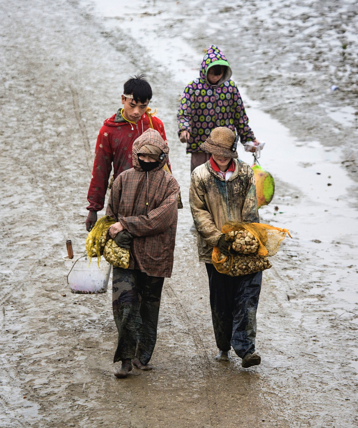 采海归来 彭镇强摄