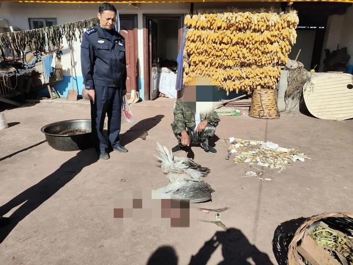 ▲吉克某某指认杀害的黑颈鹤