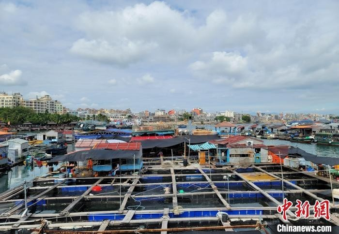 从潟湖渔排眺望新村镇，这一带是海南岛疍家人聚居人数最多、最为集中的地区。中新社记者王晓斌摄