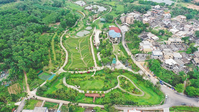 俯瞰定安县香草田园共享农庄。通讯员 张博 摄