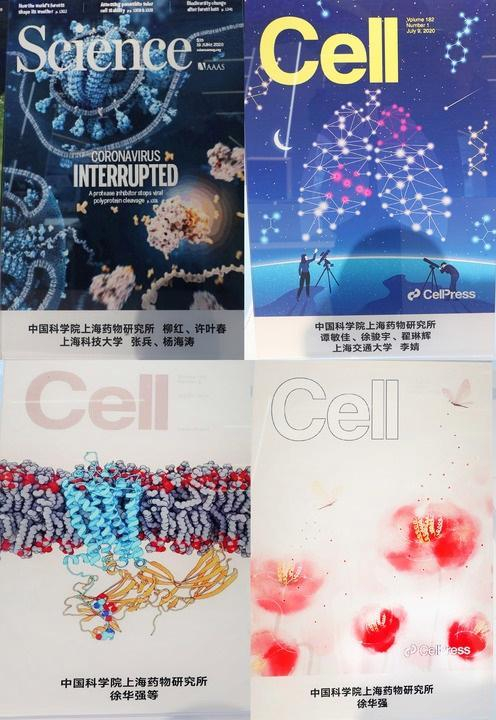拼版照片是2023年11月29日在上海科技创新成果展上拍摄的以中国科学院上海药物研究所科研成果为封面的刊物。（方喆 摄）