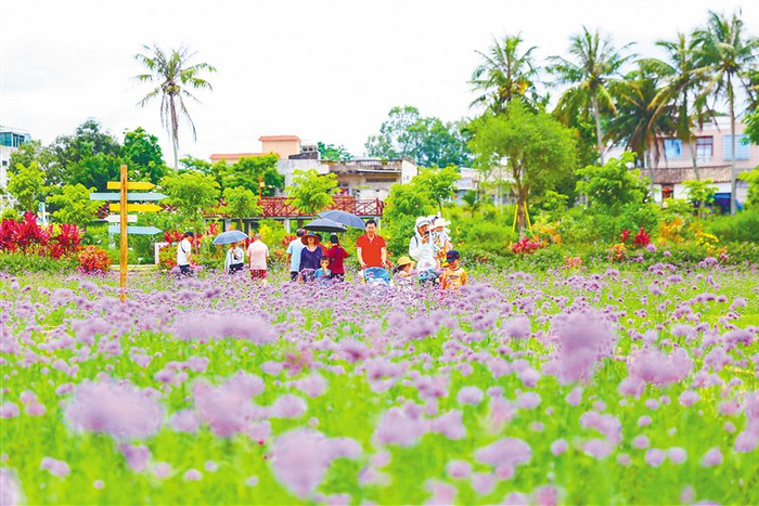 市民游客在定安县香草田园共享农庄游玩。海南日报记者 张茂 摄
