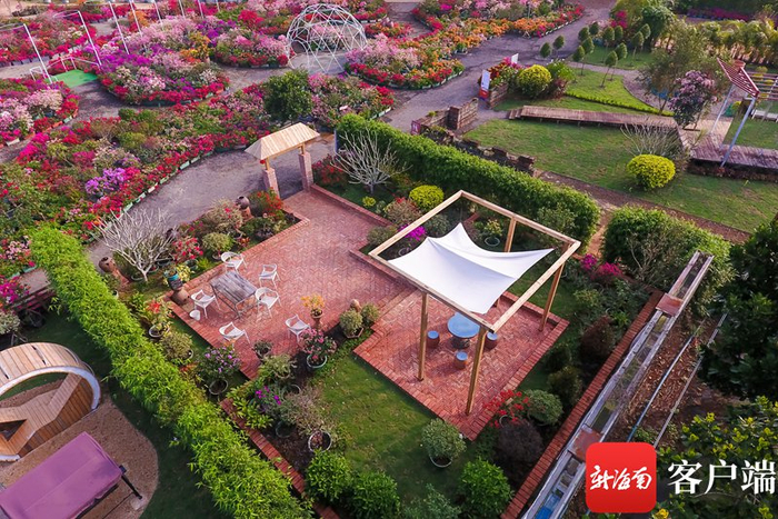 　　海口三角梅共享农庄。罗长英 摄