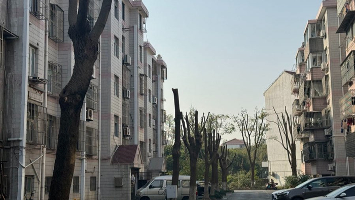 本文图片均为上观新闻 图