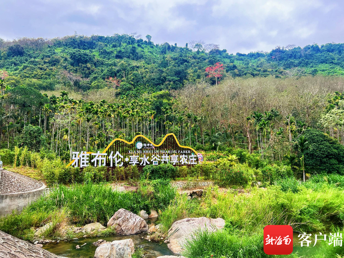 保亭雅布伦·享水谷共享农庄。海南雅布伦投资有限公司供图