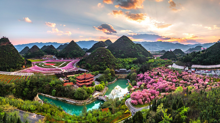 贵州醇景区花海烂漫。张霆 摄