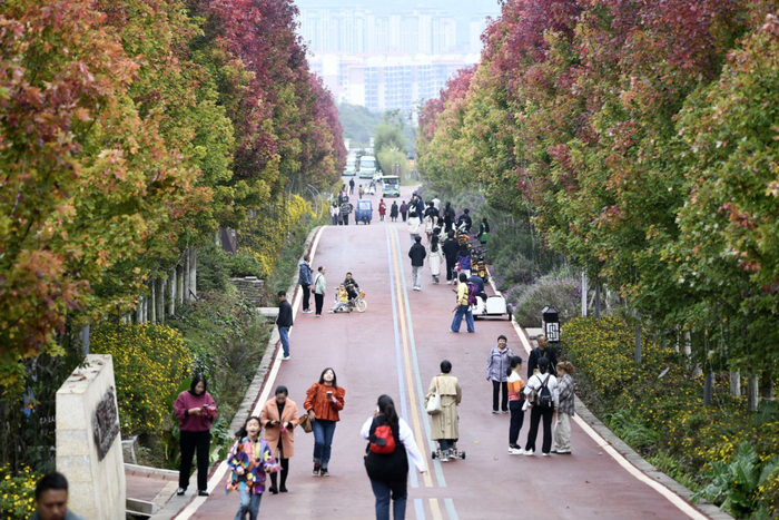游客在贵州醇景区游玩。贵州日报天眼新闻记者 刘朝富 摄