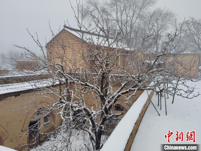 图为雪后陕州地坑院。姚书勤 摄