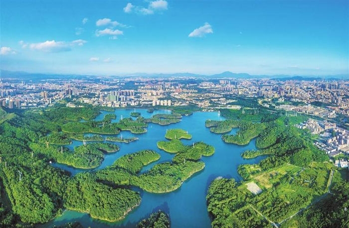     青山环抱、绿水润城、碧道绵延……龙华区蝶变天蓝水绿、云蒸霞蔚的生态宜居城区，图为茜坑水库。 刘伯良 摄