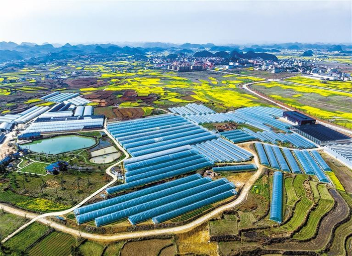     南沙西秀共建产业园区。    （本版图片由省乡村振兴局提供）