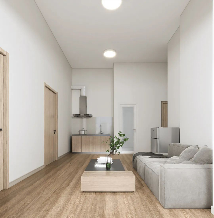 （“彩瑞中心”项目）