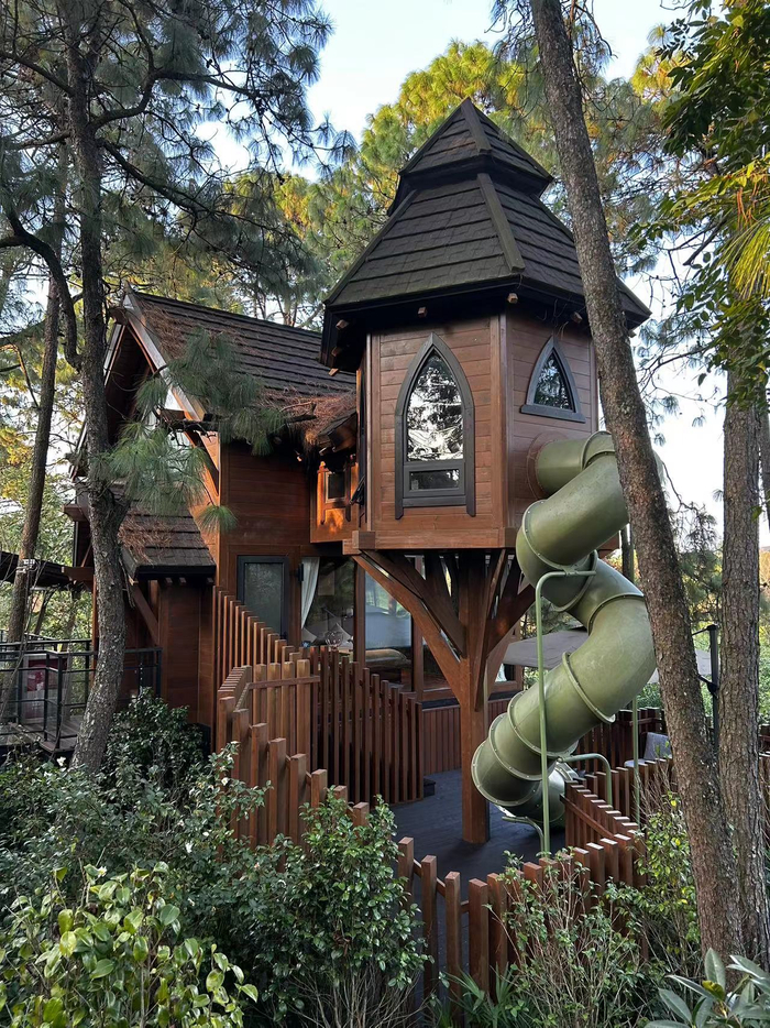 云屯生态体育公园内的树屋酒店。贵州日报天眼新闻记者 曹雯 摄