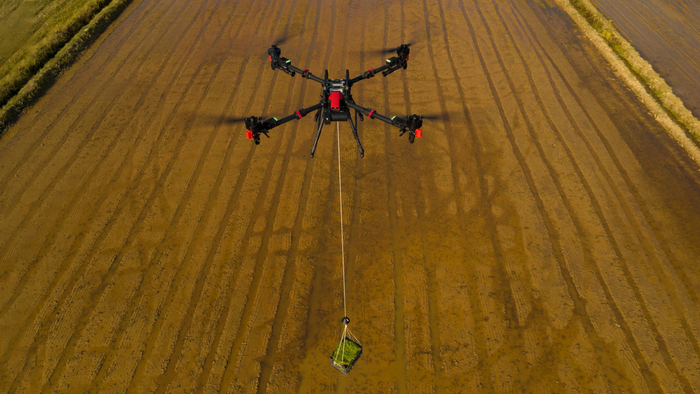 图源：企业供图