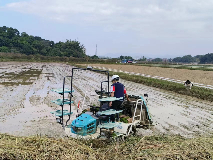 插秧机自动转弯，没人在操纵方向盘 图源：时代财经