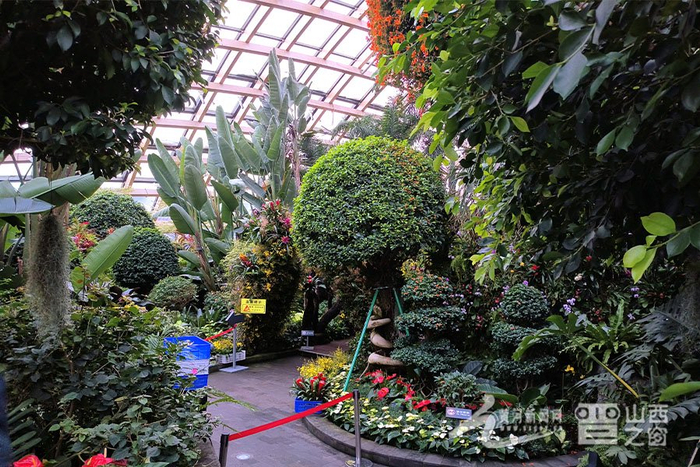 太原植物园四家花卉馆