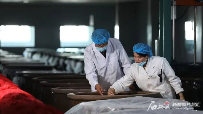 新疆小驼酒业有限公司员工查看酿造好的恰玛古酒。刘红文摄