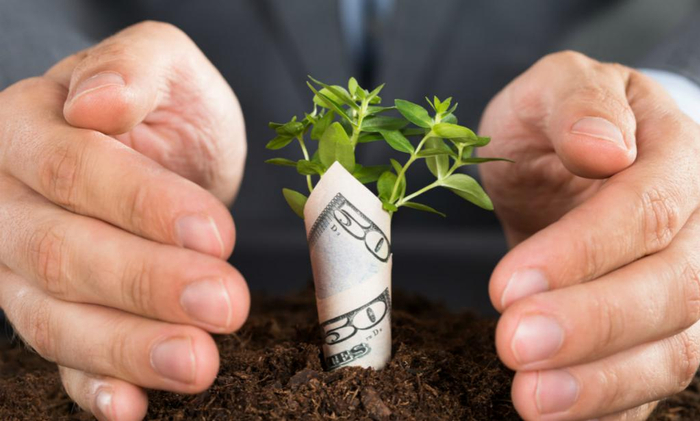 来源：猎云精选，文 / 韩文静