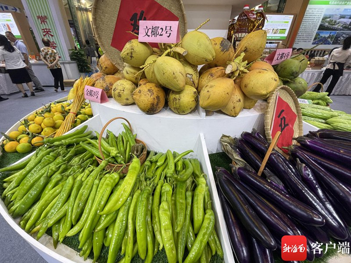 　　2023年冬交会屯昌馆。屯昌融媒体供图