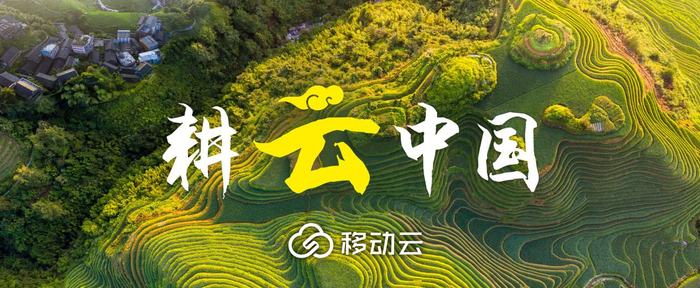 “云”入深山处&nbsp;&nbsp;打通基层医疗“最后一公里”