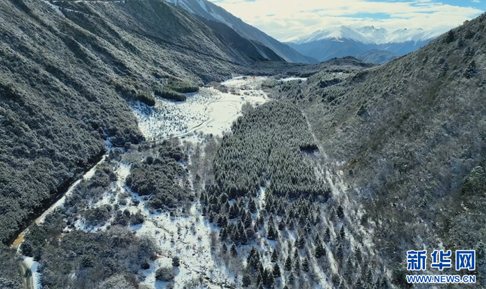 德钦县雪景如画（视频截图）