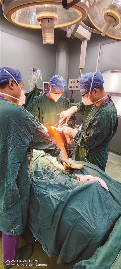     骨伤科医生全身心投入手术一线