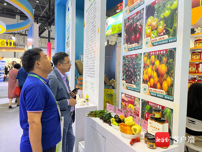 　　五颜六色的水果椒获得了省内外参展观众和采购商的青睐。记者 陈婧 摄