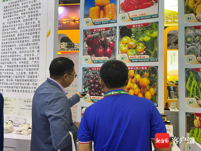 　　五颜六色的水果椒获得了省内外参展观众和采购商的青睐。记者 陈婧 摄