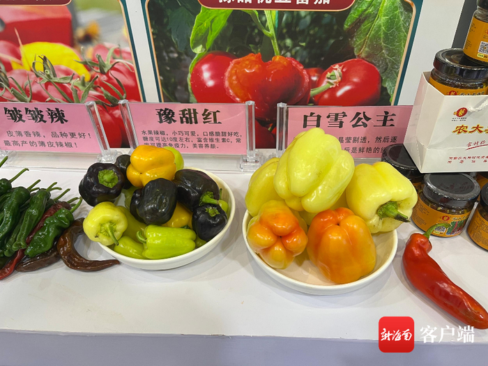 　　五颜六色的水果椒获得了省内外参展观众和采购商的青睐。记者 陈婧 摄