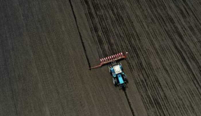 ▲俄罗斯已经将AI技术引入农业领域（资料图）