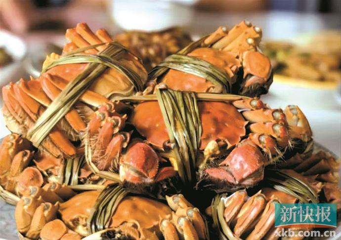 阳澄湖大闸蟹是大热门。