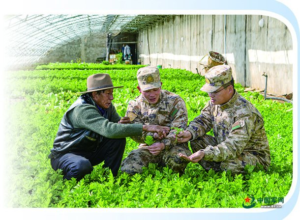 在驻地乡村振兴实践中，西藏拉萨警备区官兵积极参与，主动作为，帮助乡亲们搭建蔬菜大棚，提高种植技能。朱 辰摄　　