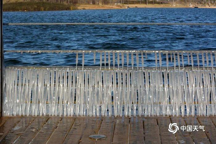 △16日早,河南汝州最低气温降至-7℃附近,湖边草木挂满冰凌。