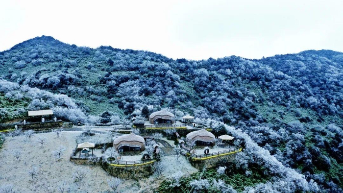 ▲初雪掩映罗汉林