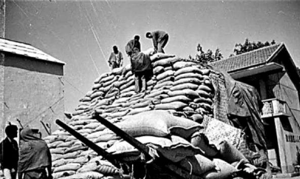 1979年 小岗生产队迎来大丰收