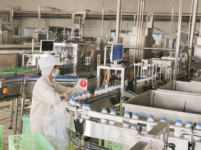 青海小西牛生物乳业股份有限公司包装车间。本报记者 贾泓 摄
