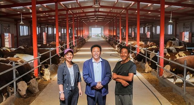 图：飞悦牛棚支起村民的致富新希望