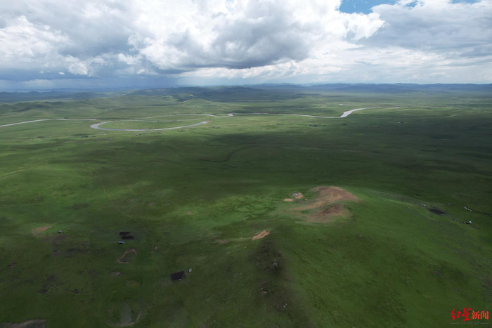▲广袤的若尔盖草原上，狼群经常出没