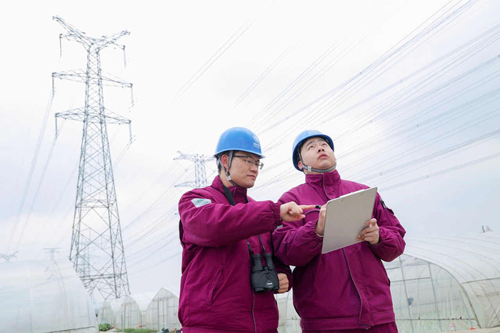 输电运检中心输电运维一班工作人员开展特巡。受访者供图