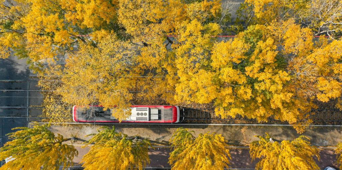 10月24日，在长春市春城大街，一辆电车行驶在轨道上（无人机照片）。新华社记者 张楠 摄