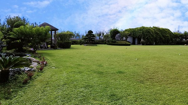 图说：环球超市管理发展有限公司屋顶绿化（地处杨浦）