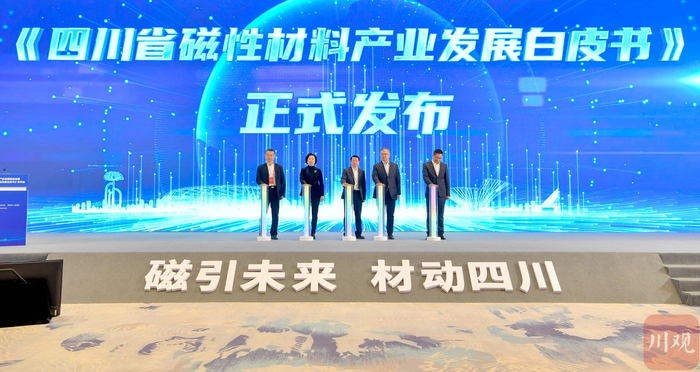 《四川省磁性材料产业发展白皮书》发布 王勇 摄