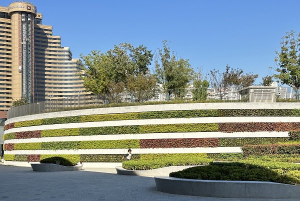 图说：上海体育馆绿墙