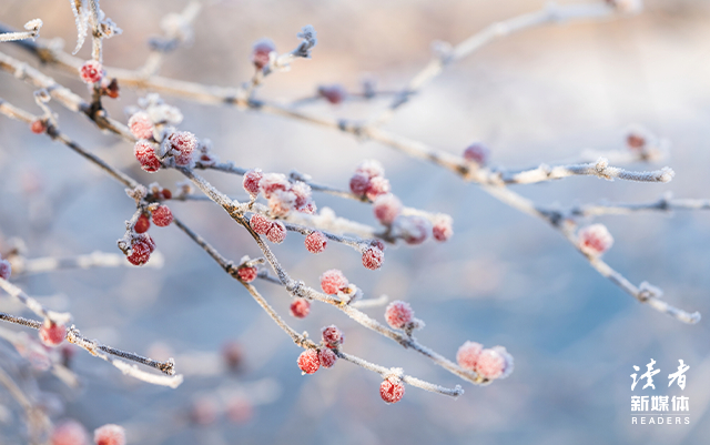 来源：视觉中国