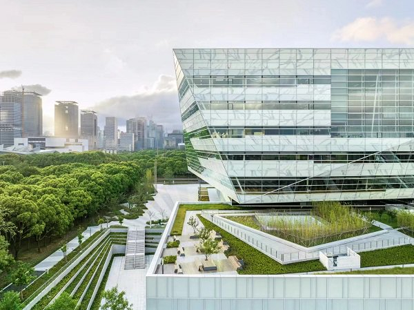 图说：浦东图书馆屋顶绿化  采访对象供图（下同）