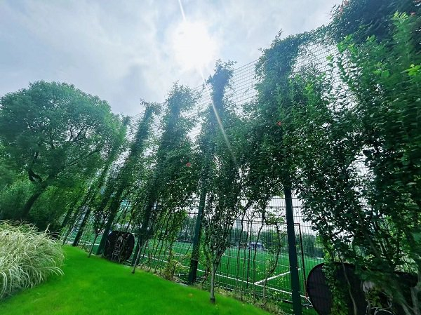 图说：黄浦苗江路台地花园足球场垂直绿化