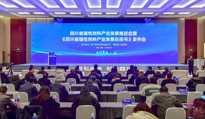 活动现场 王勇 摄