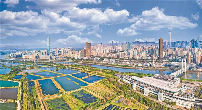 河套深港科技创新合作区。深圳特区报记者 何龙 摄