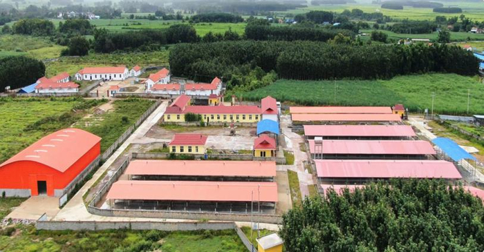 图为老挝南塔省勐醒县的动物隔离检疫场（勐腊县国通畜牧业发展有限公司供图）